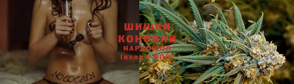 скорость Белокуриха